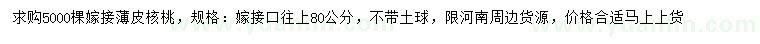 求購(gòu)嫁接薄皮核桃苗