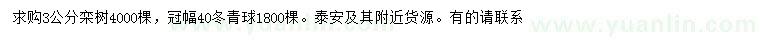 求購(gòu)3公分欒樹(shù)、冠幅40公分冬青球