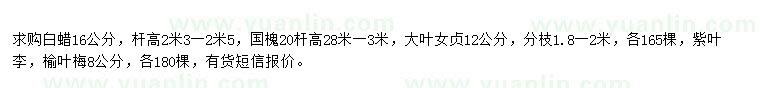 求購白蠟、國槐、大葉女貞等