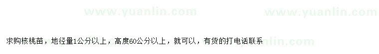 求購地徑量1公分以上核桃苗