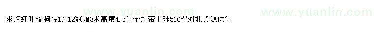 求購胸徑10-12公分紅葉椿