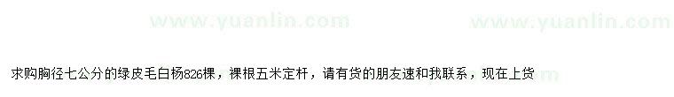 求購胸徑7公分綠皮毛白楊