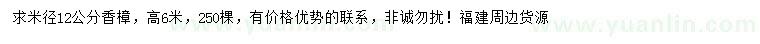 求購米徑12公分香樟