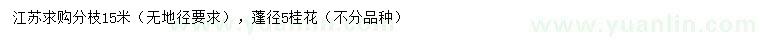 求購蓬徑5公分桂花