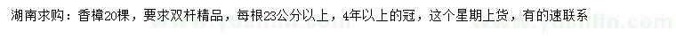 求購雙桿香樟