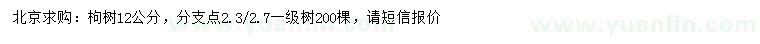 求購(gòu)12公分枸樹(shù)