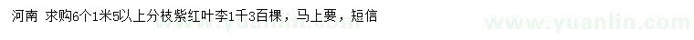 求購(gòu)6公分紫紅葉李