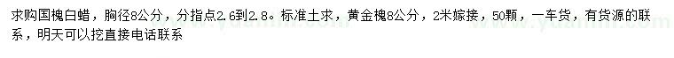 求購(gòu)國(guó)槐、白蠟、黃金槐