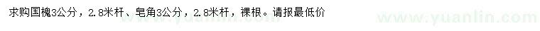 求購3公分國槐、皂角
