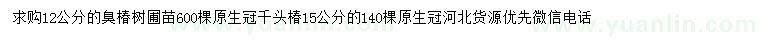 求購12公分臭椿樹