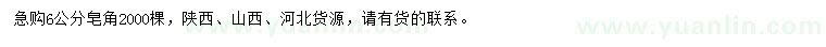 求購6公分皂角