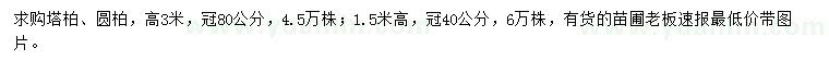 求購高1.5、3米塔柏、圓柏