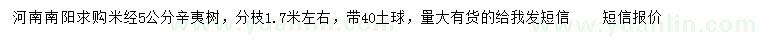 求購米徑5公分辛夷樹