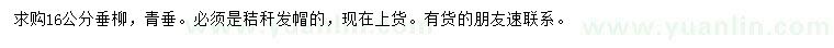 求購16公分垂柳、青垂