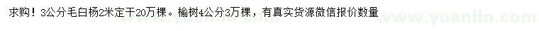 求購3公分毛白楊、4公分榆樹
