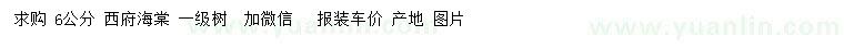 求購6公分西府海棠
