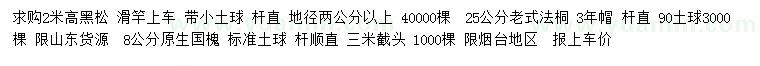求購黑松、老式法桐、國槐