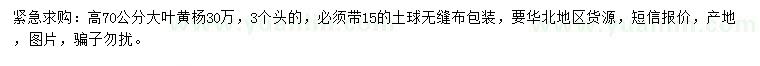 求購(gòu)高70公分大葉黃楊