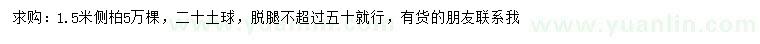 求購1.5米側(cè)柏