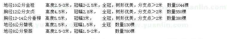 求購金桂、女貞、垂柳等