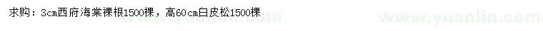 求購(gòu)3公分西府海棠、高60公分白皮松