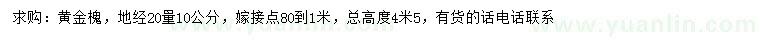 求購地徑20量10公分黃金槐