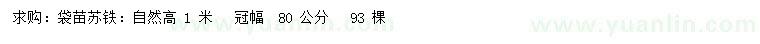 求購(gòu)高1米蘇鐵