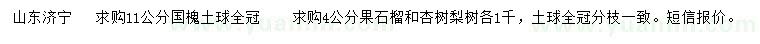 求購(gòu)國(guó)槐、果石榴、杏樹(shù)等