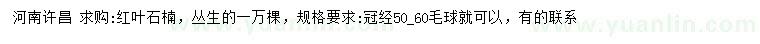 求購冠幅50-60公分紅葉石楠