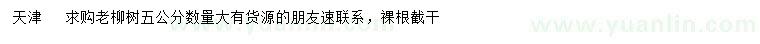 求購5公分老柳樹