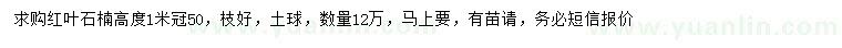 求購(gòu)高1米紅葉石楠