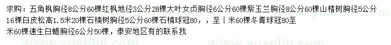 求購五角楓、紅楓、大葉女貞等