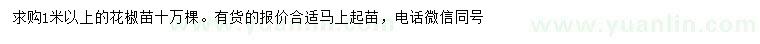 求購1米以上花椒苗