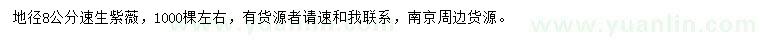 求購地徑8公分速生紫薇