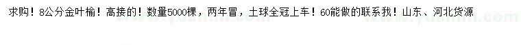 求購8公分金葉榆