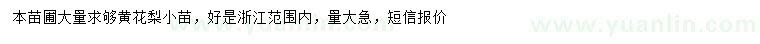 求購黃花梨小苗