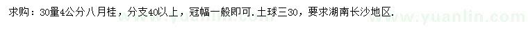 求購30量4公分八月桂