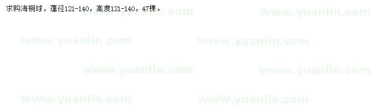 求購蓬徑121-140公分海桐球