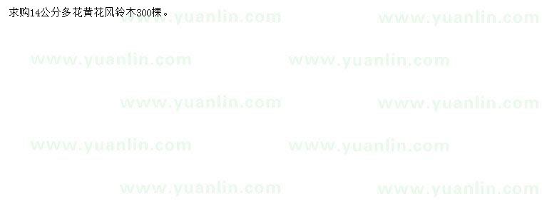 求購14公分黃花風(fēng)鈴木