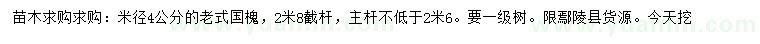 求購米徑4公分老式國槐