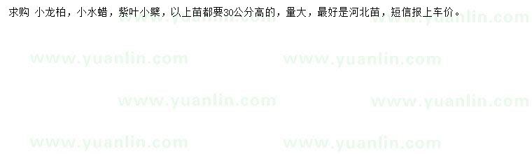 求購(gòu)小龍柏、小水蠟、紫葉小檗