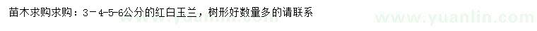 求購3、4、5、6公分紅、白玉蘭