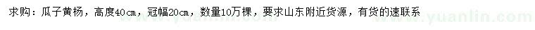 求購高40公分瓜子黃楊