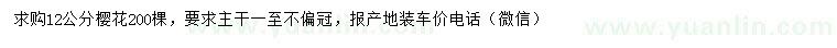 求購12公分櫻花