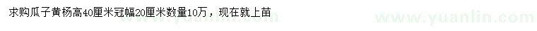 求購高40公分瓜子黃楊