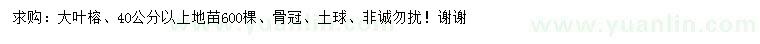 求購40公分以上大葉榕地苗