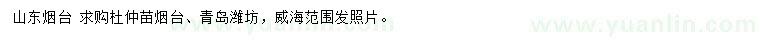 求購杜仲苗