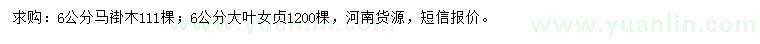 求購6公分馬褂木、大葉女貞