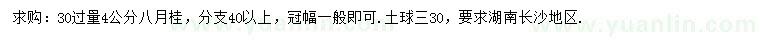 求購30過量4公分八月桂