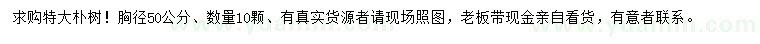 求購胸徑50公分樸樹